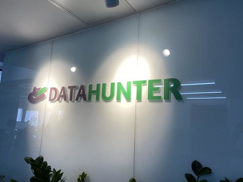 数据软件产品和服务商datahunter完成b轮融资