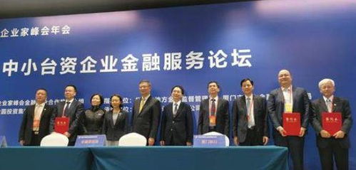 聚焦 寒流 中的两岸交流 两岸企业家峰会 盛放 厦门 台北