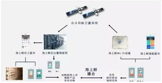海鲜消费受益消费升级,品牌化运营成趋势(下)
