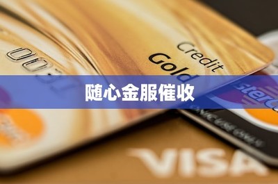 随心金服催收
