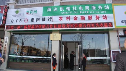 重磅丨总社印发规范发展金融服务指导意见