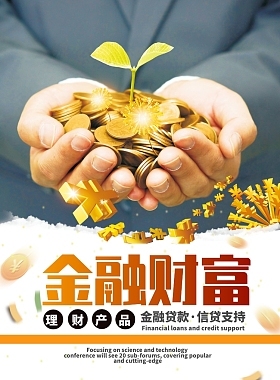 "金融公司"