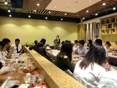 中龙城金服公司简介